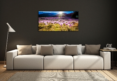 Tableau en verre Crocus dans une clairière