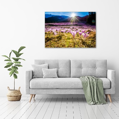 Tableau en verre Crocus dans une clairière