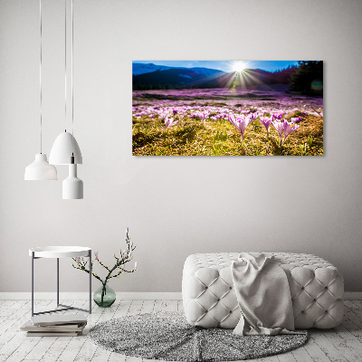 Tableau en verre Crocus dans une clairière