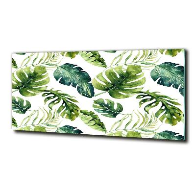 Tableau imprimé sur verre Feuilles tropicales