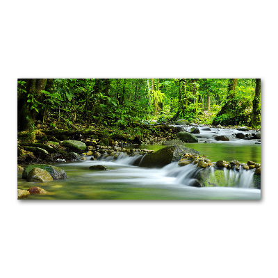 Tableau verre imprimé Ruisseau de montagne