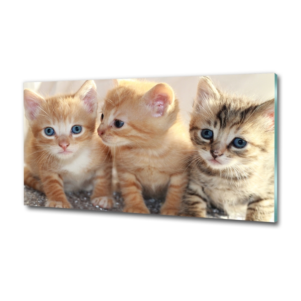 Tableau en verre Petits chats