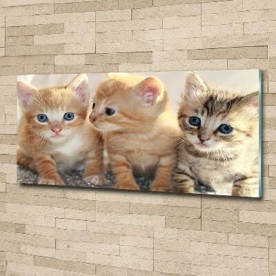 Tableau en verre Petits chats