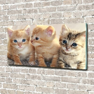 Tableau en verre Petits chats