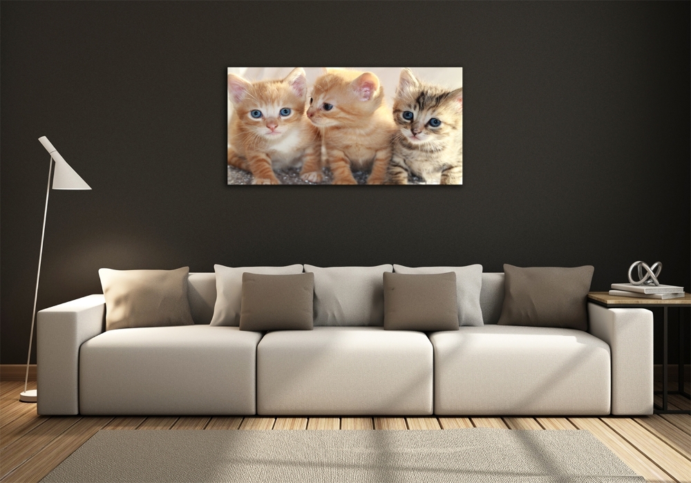 Tableau en verre Petits chats