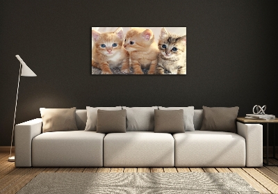 Tableau en verre Petits chats