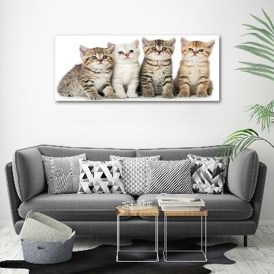 Tableau sur verre Petits chats