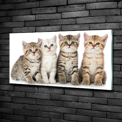 Tableau sur verre Petits chats