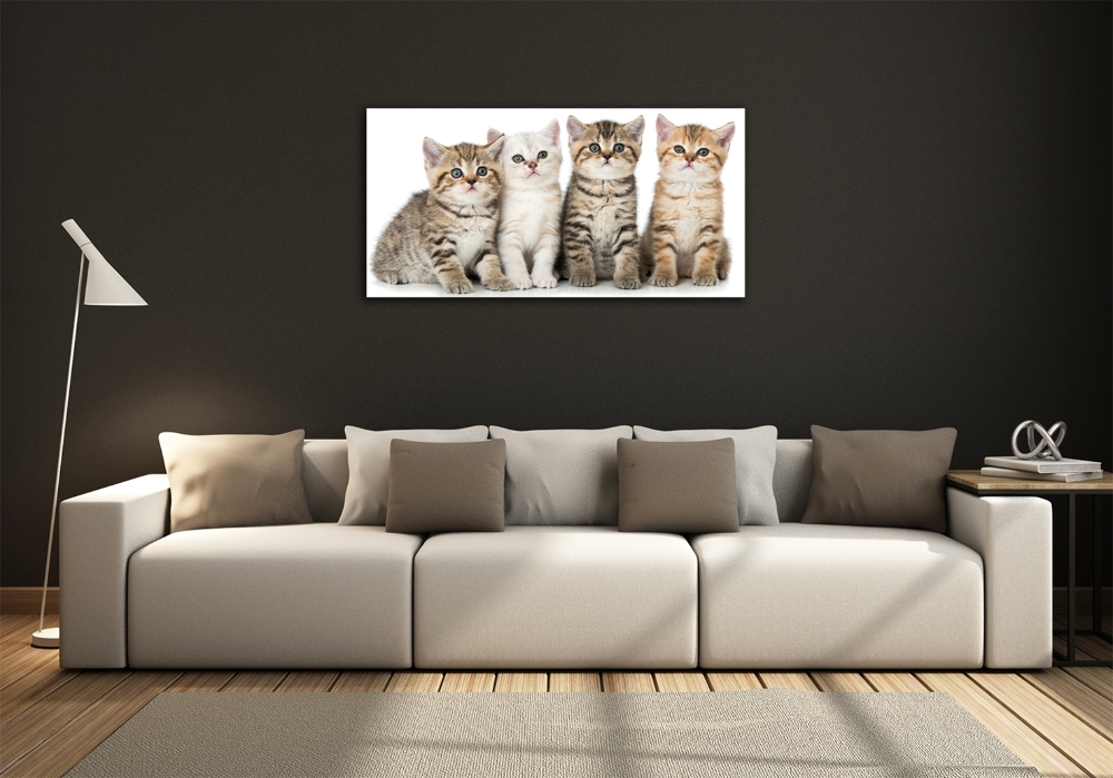 Tableau sur verre Petits chats