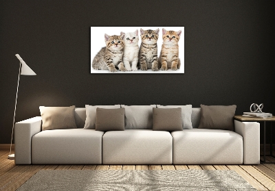 Tableau sur verre Petits chats