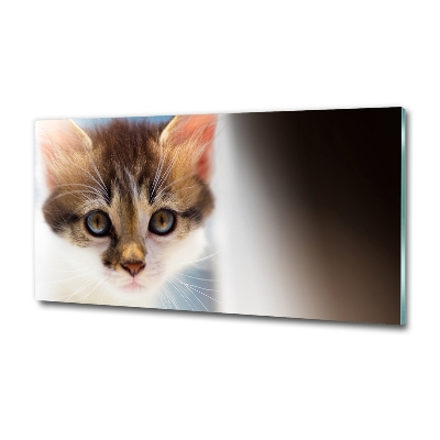 Tableau photo sur verre Petit chat