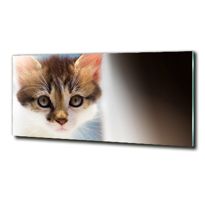 Tableau photo sur verre Petit chat