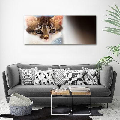 Tableau photo sur verre Petit chat