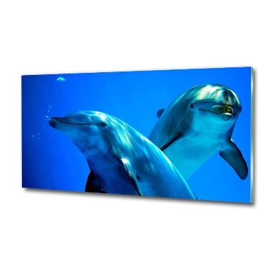 Tableau sur verre Deux dauphins