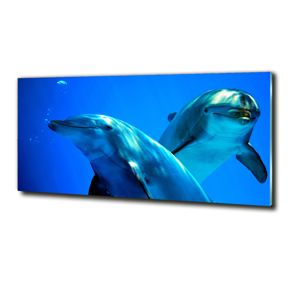 Tableau sur verre Deux dauphins