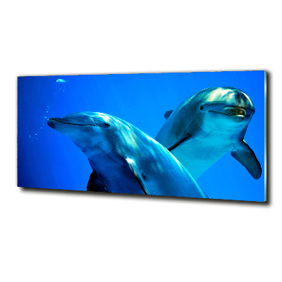 Tableau sur verre Deux dauphins