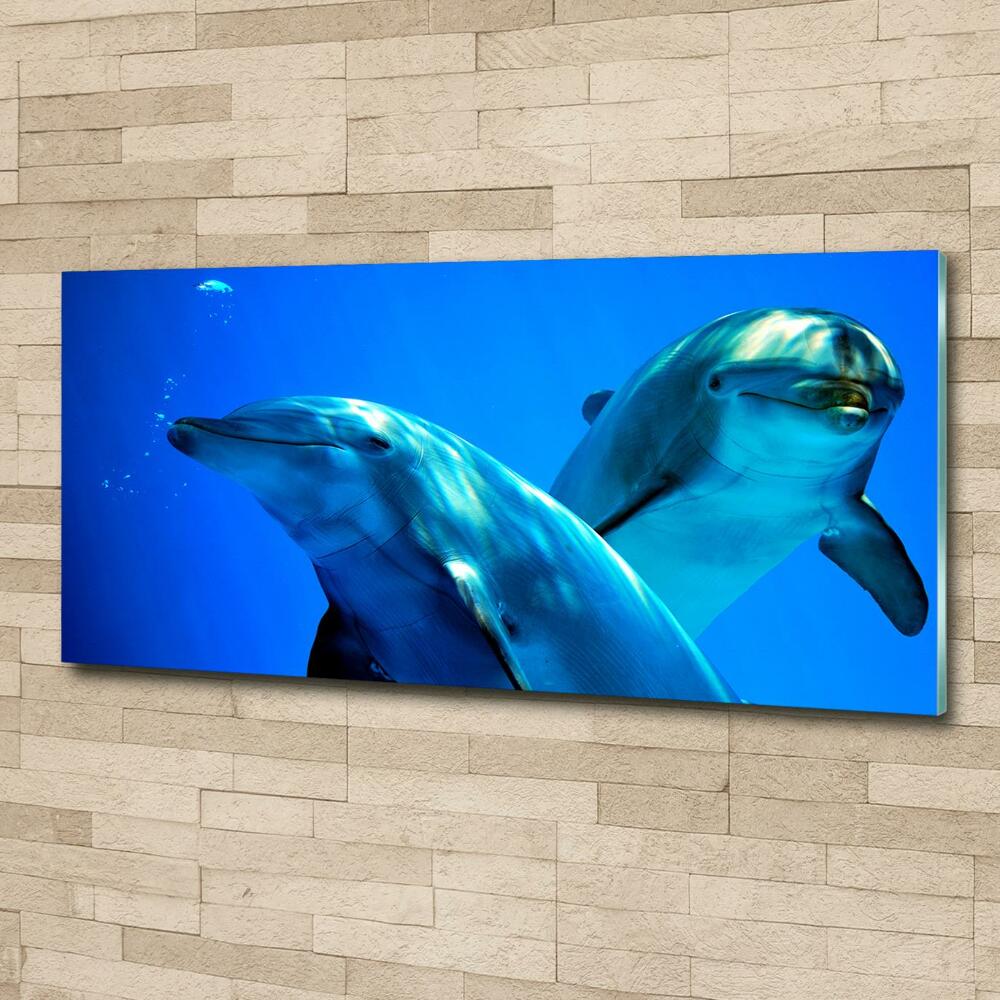 Tableau sur verre Deux dauphins