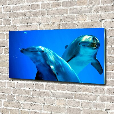 Tableau sur verre Deux dauphins