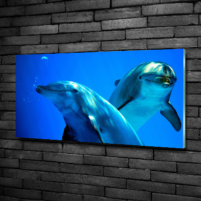 Tableau sur verre Deux dauphins