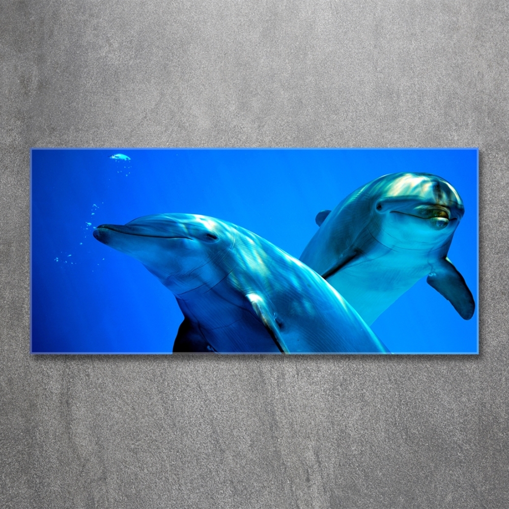 Tableau sur verre Deux dauphins