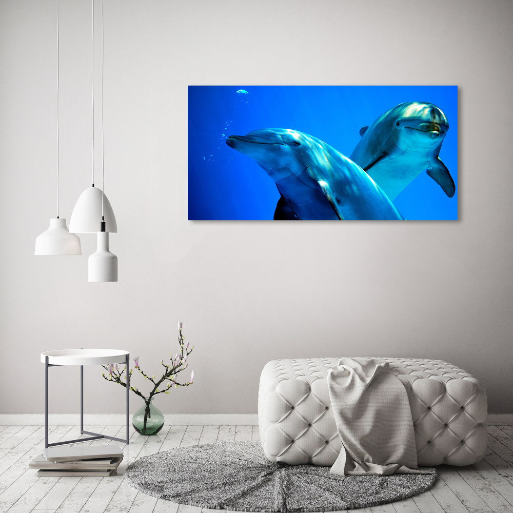 Tableau sur verre Deux dauphins