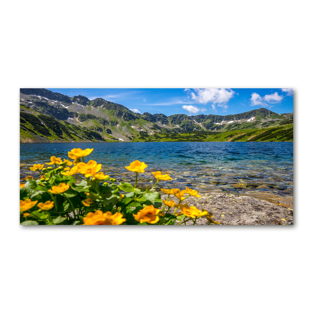 Tableau en verre Le lac de montagne