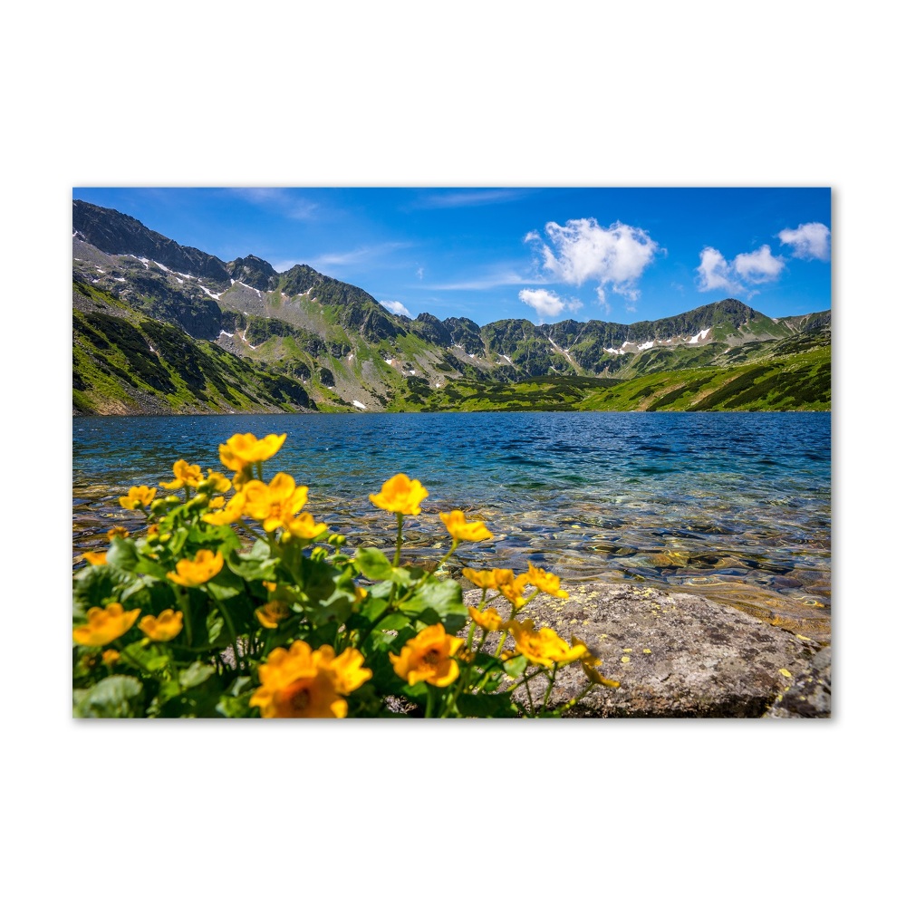 Tableau en verre Le lac de montagne