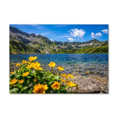 Tableau en verre Le lac de montagne