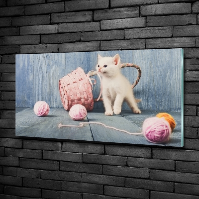 Tableau imprimé sur verre Chat blanc et houes