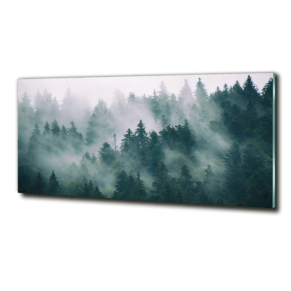 Tableau verre imprimé Brouillard sur la forêt