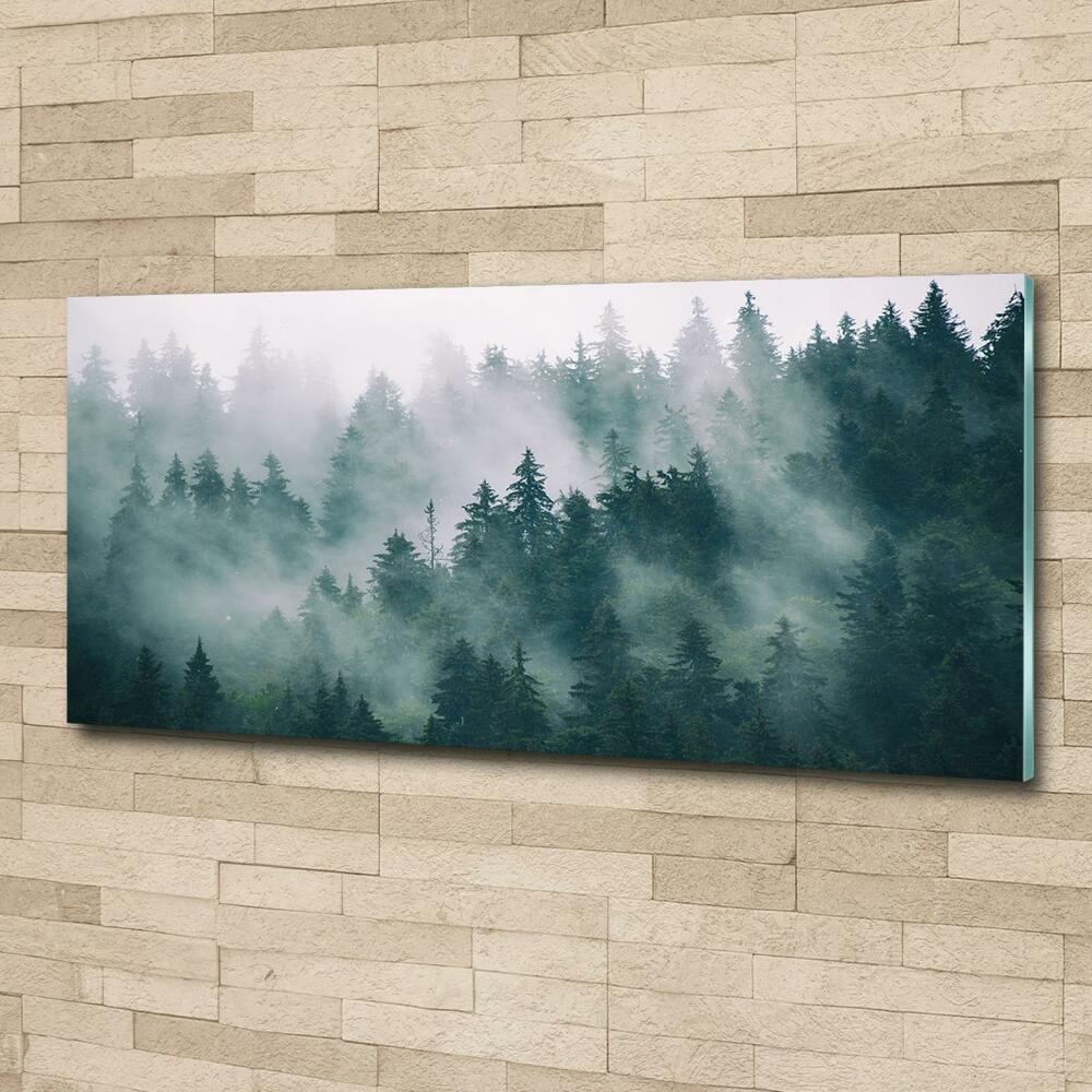 Tableau verre imprimé Brouillard sur la forêt