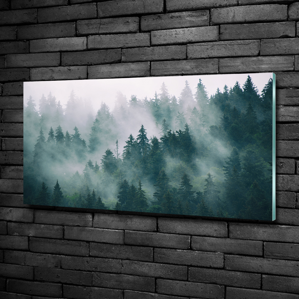 Tableau verre imprimé Brouillard sur la forêt