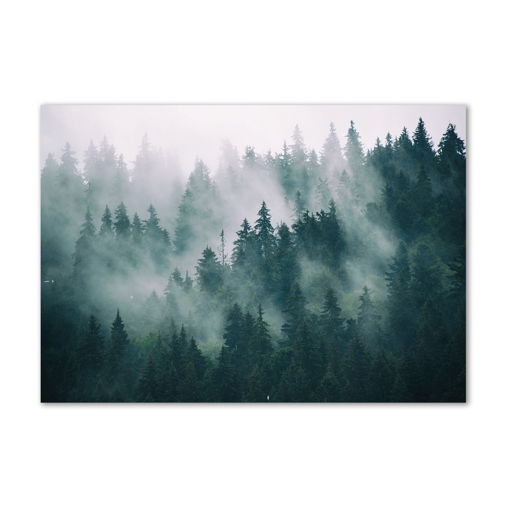 Tableau verre imprimé Brouillard sur la forêt