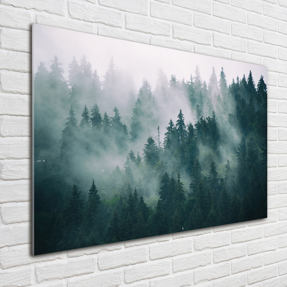 Tableau verre imprimé Brouillard sur la forêt