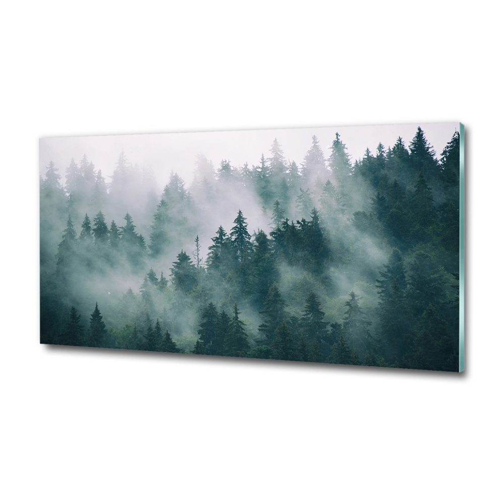 Tableau verre imprimé Brouillard sur la forêt