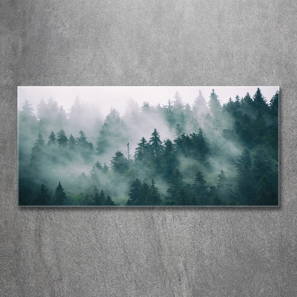 Tableau verre imprimé Brouillard sur la forêt