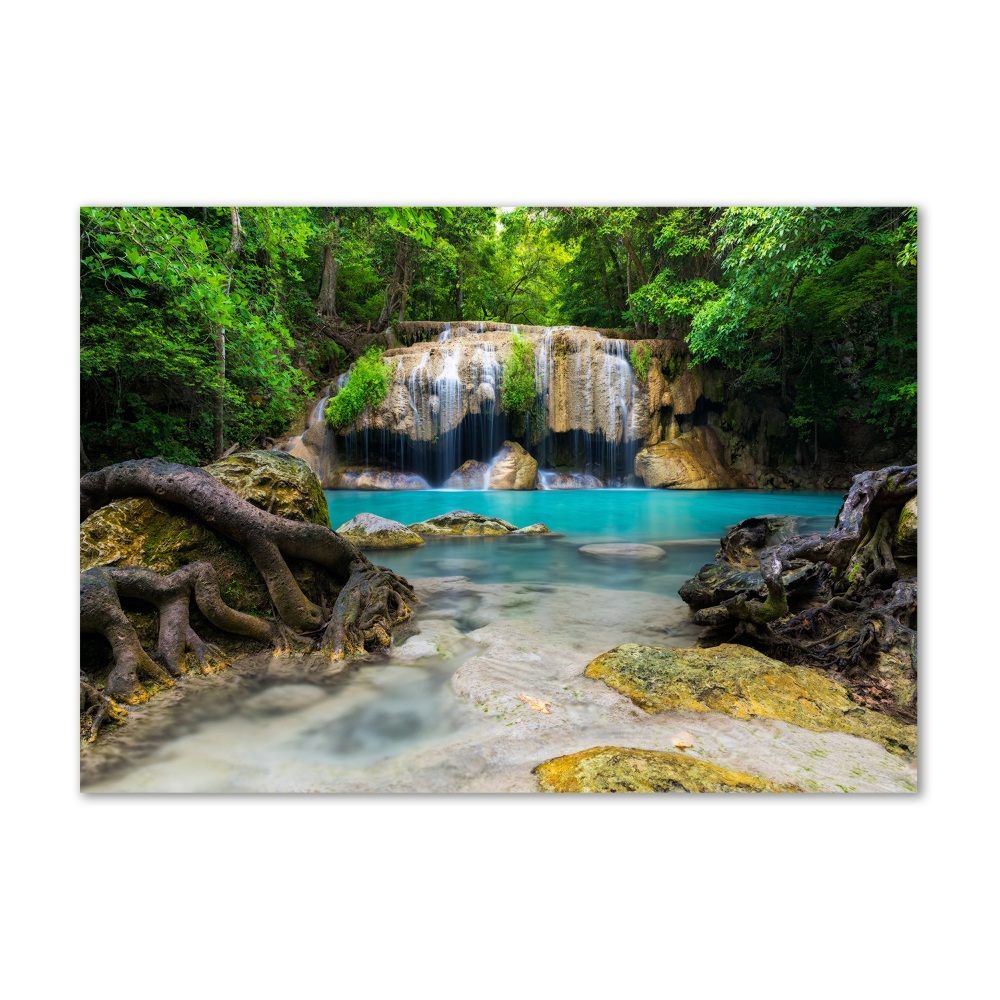 Tableau verre imprimé Cascade dans la forêt