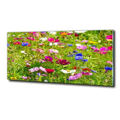 Tableau photo sur verre Fleurs des champs