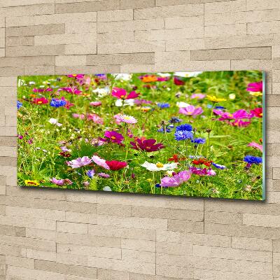 Tableau photo sur verre Fleurs des champs