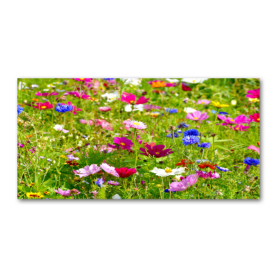 Tableau photo sur verre Fleurs des champs