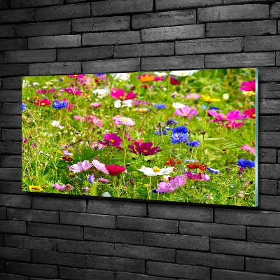 Tableau photo sur verre Fleurs des champs