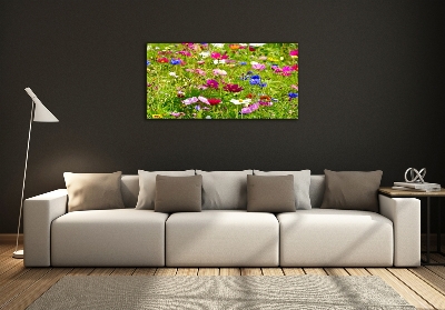 Tableau photo sur verre Fleurs des champs