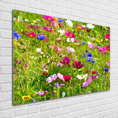 Tableau photo sur verre Fleurs des champs