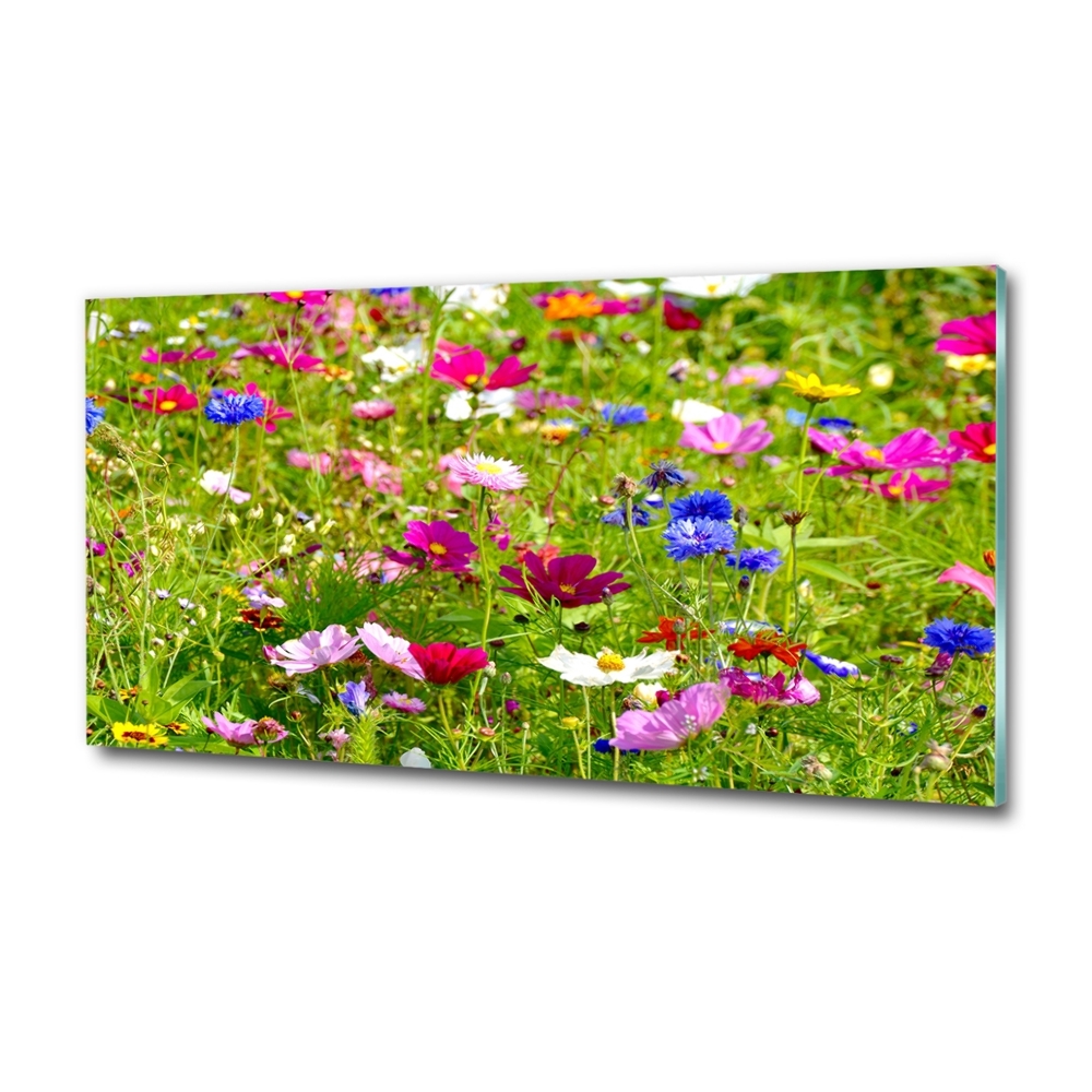 Tableau photo sur verre Fleurs des champs