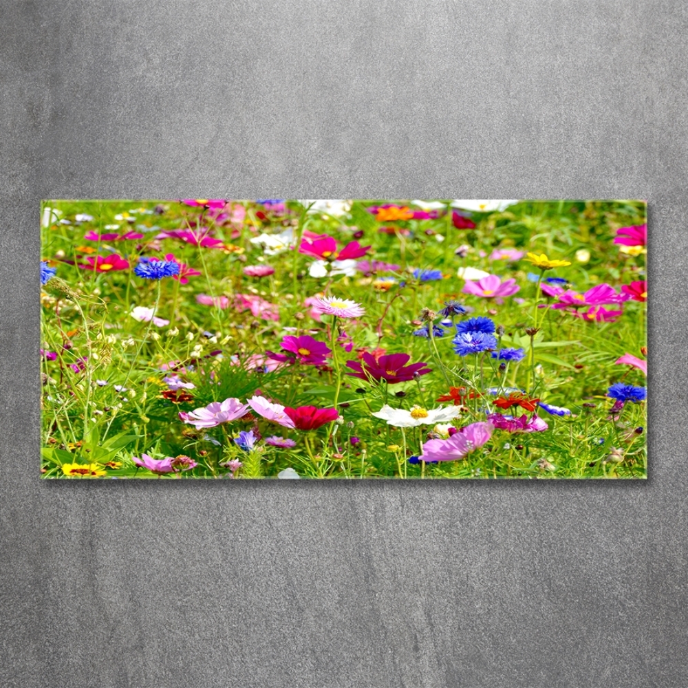 Tableau photo sur verre Fleurs des champs