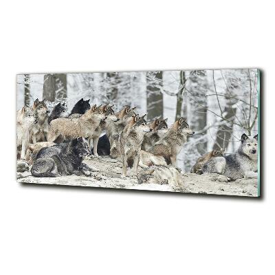 Tableau photo sur verre Loups en hiver