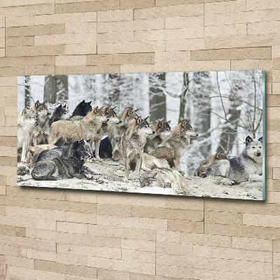 Tableau photo sur verre Loups en hiver