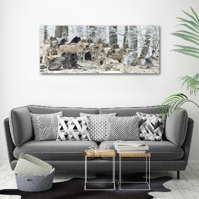 Tableau photo sur verre Loups en hiver