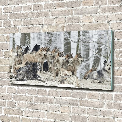 Tableau photo sur verre Loups en hiver