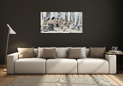 Tableau photo sur verre Loups en hiver